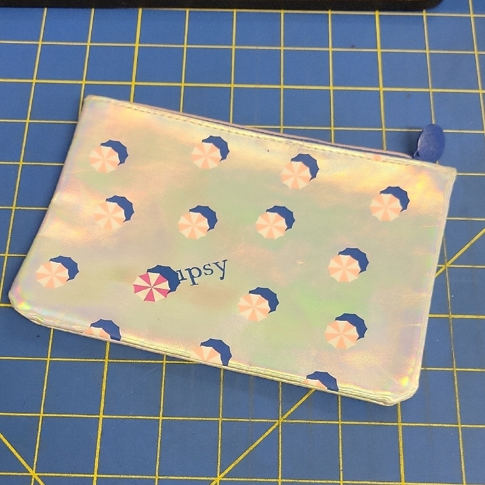 Peppermint Candy Silver Blue Cosmetic Makeup Bag